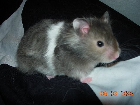 kiva vagina Galleria